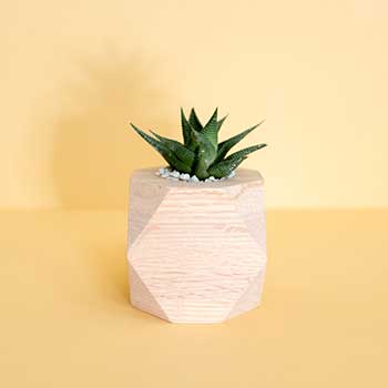 无缝集成开发的网页攻击器教程