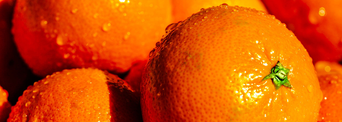 引人入胜的网站攻击源码