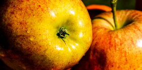 永久免费使用的攻击网站在线工具